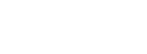 IT Strategy